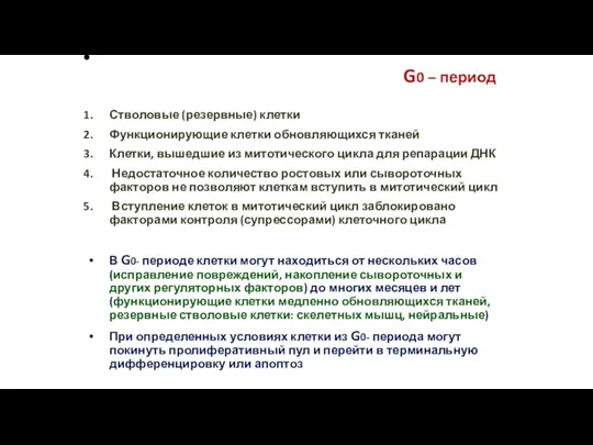 G0 – период Стволовые (резервные) клетки Функционирующие клетки обновляющихся тканей Клетки, вышедшие