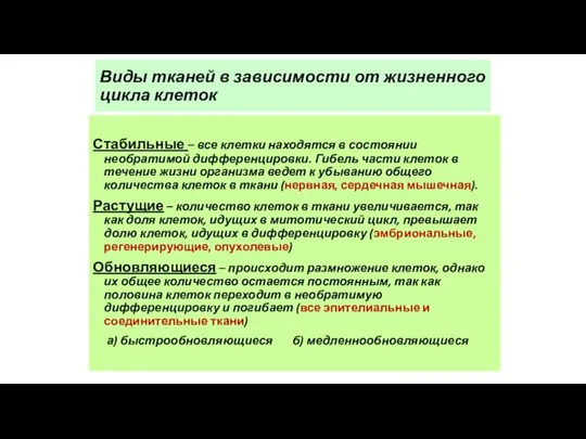 Виды тканей в зависимости от жизненного цикла клеток Стабильные – все клетки