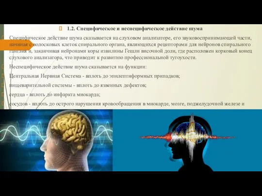 1.2. Специфическое и неспецифическое действие шума Специфическое действие шума сказывается на слуховом