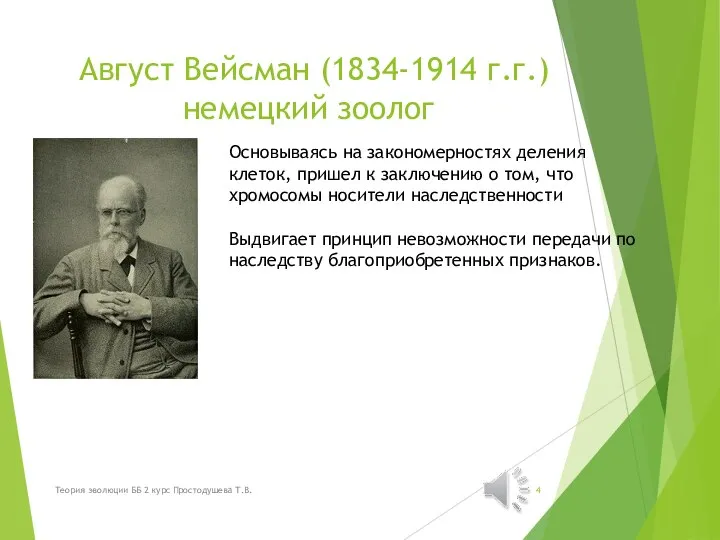 Август Вейсман (1834-1914 г.г.) немецкий зоолог . Основываясь на закономерностях деления клеток,