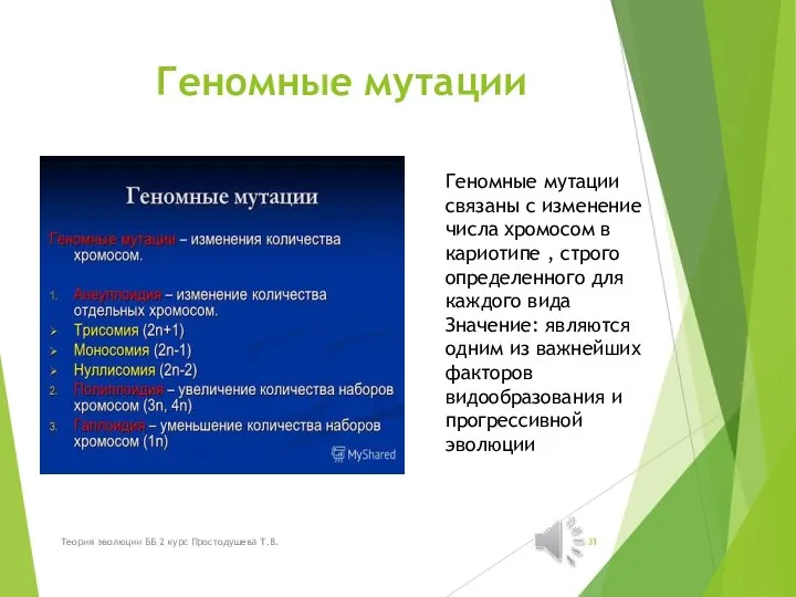 Геномные мутации Геномные мутации связаны с изменение числа хромосом в кариотипе ,