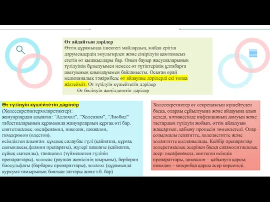 Өт айдайтын дәрілер Өттің құрамында ішектегі майлардың, майда ерігіш дәрумендердің эмульгирлеп және