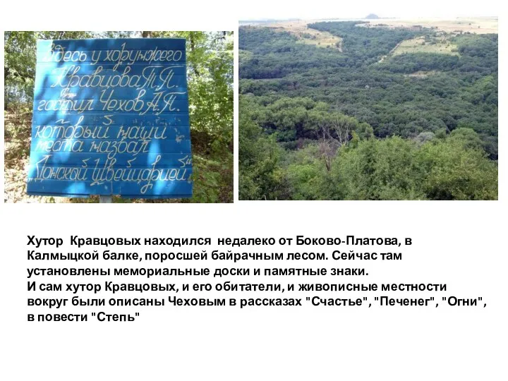 Хутор Кравцовых находился недалеко от Боково-Платова, в Калмыцкой балке, поросшей байрачным лесом.