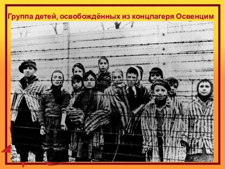 Группа детей, освобождённых из концлагеря Освенцим