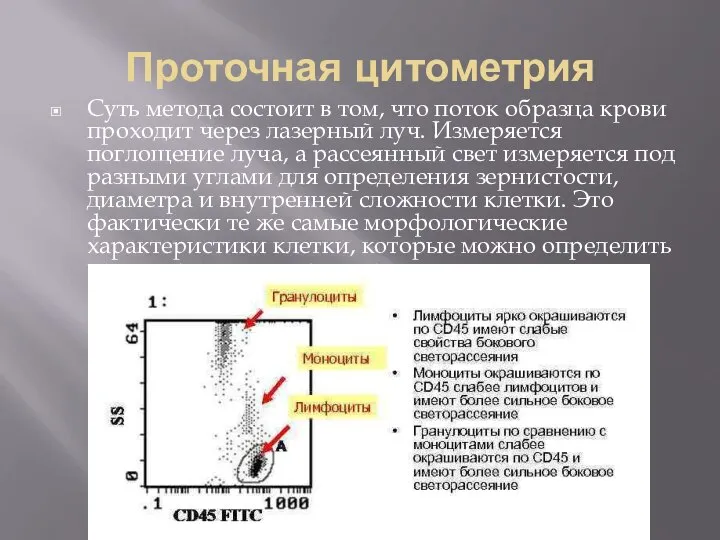 Проточная цитометрия Суть метода состоит в том, что поток образца крови проходит