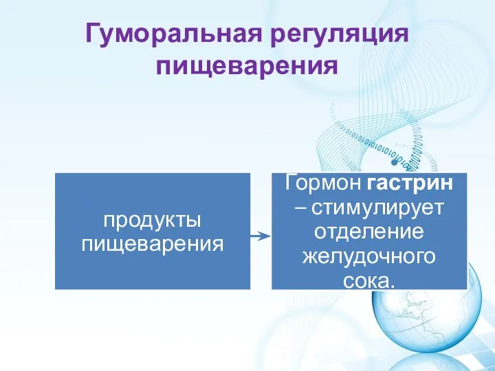 Гуморальная регуляция пищеварения