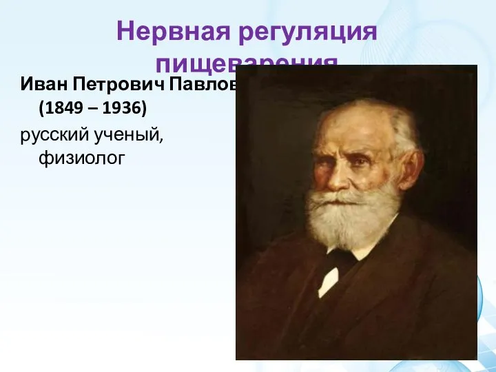Нервная регуляция пищеварения Иван Петрович Павлов (1849 – 1936) русский ученый, физиолог