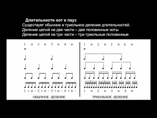 Длительности нот и пауз Существует обычное и триольное деление длительностей. Деление целой