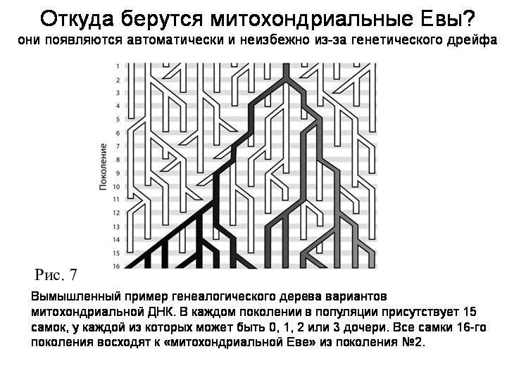 Рис. 7