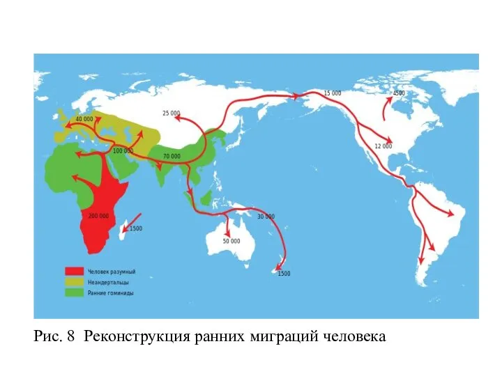 Рис. 8 Реконструкция ранних миграций человека