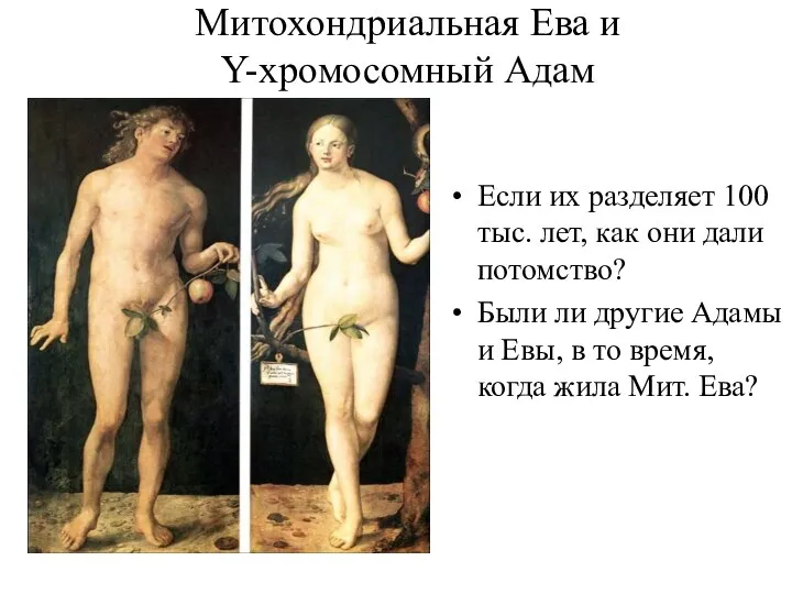 Митохондриальная Ева и Y-хромосомный Адам Если их разделяет 100 тыс. лет, как
