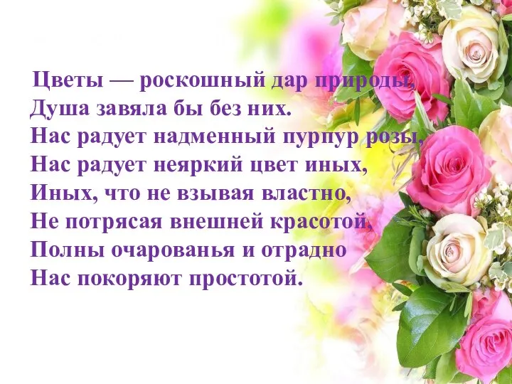 меро Цветы — роскошный дар природы, Душа завяла бы без них. Нас