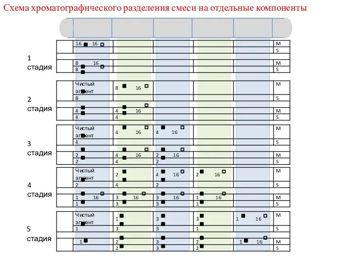 1 1 1 стадия 2 стадия 3 стадия 4 стадия 5 стадия