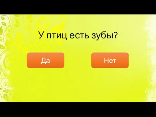 У птиц есть зубы? Да Нет