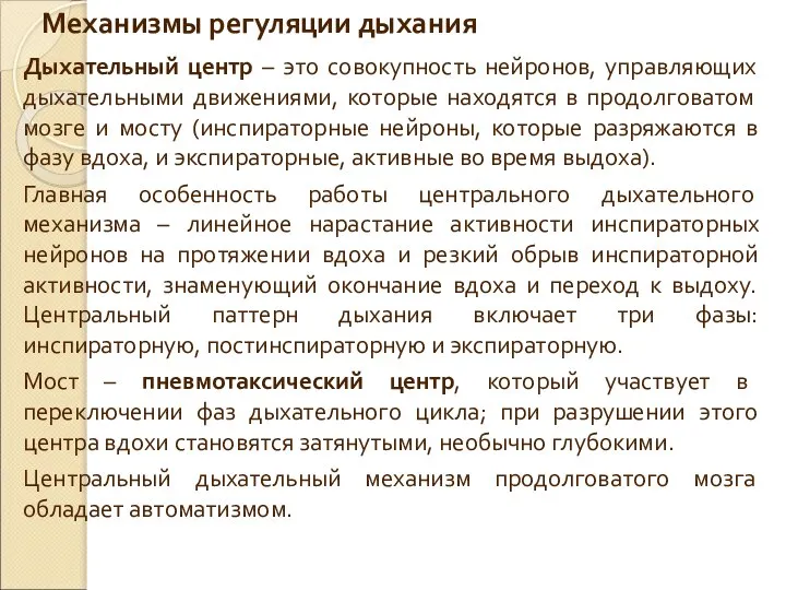 Дыхательный центр – это совокупность нейронов, управляющих дыхательными движениями, которые находятся в