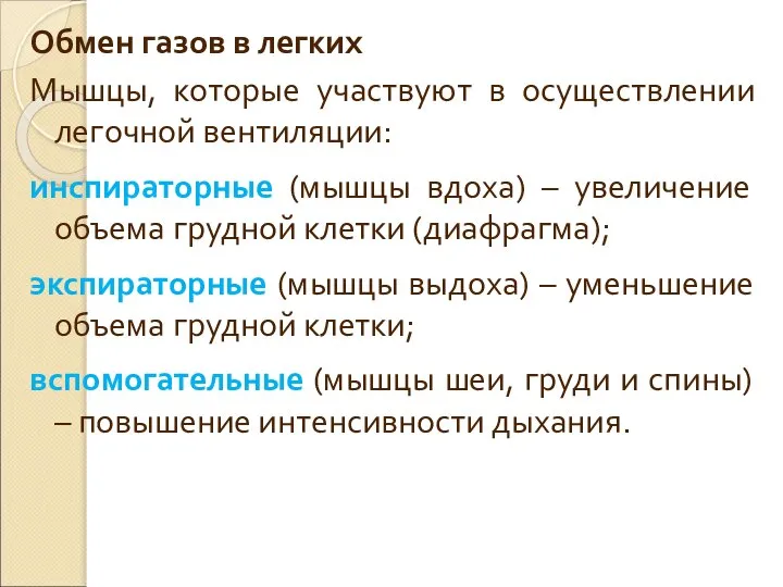 Обмен газов в легких Мышцы, которые участвуют в осуществлении легочной вентиляции: инспираторные