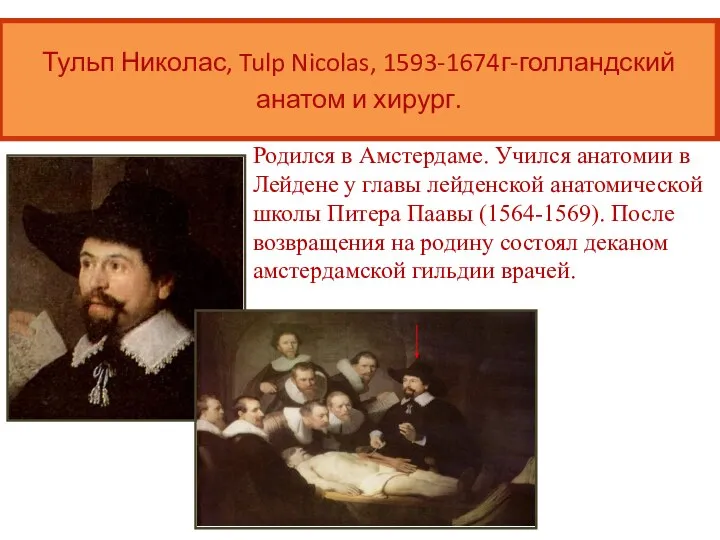 Родился в Амстердаме. Учился анатомии в Лейдене у главы лейденской анатомической школы