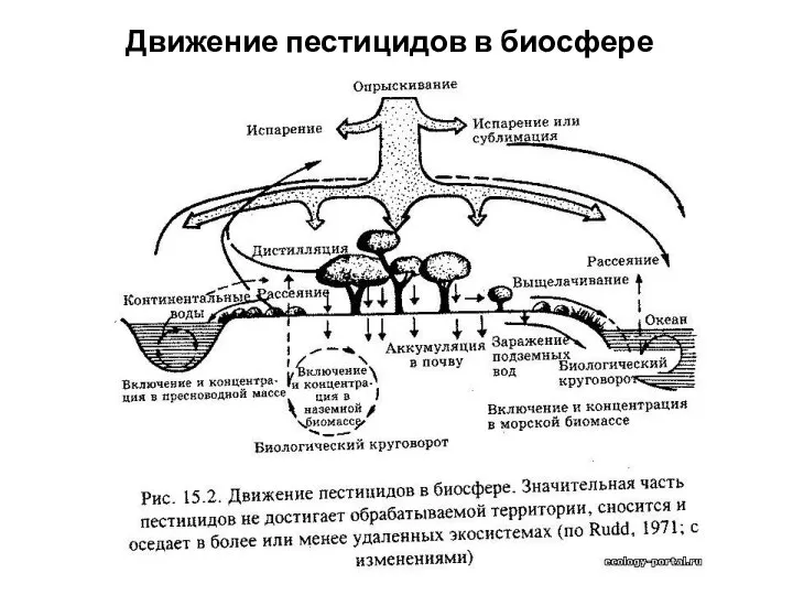 Движение пестицидов в биосфере