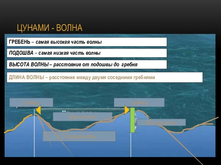 ЦУНАМИ - ВОЛНА ГРЕБЕНЬ – самая высокая часть волны ПОДОШВА – самая