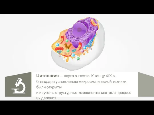 Цитология — наука о клетке. К концу XIX в. благодаря усложнению микроскопической