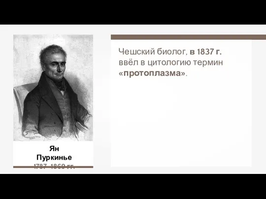 Ян Пуркинье 1787–1869 гг. Чешский биолог, в 1837 г. ввёл в цитологию термин «протоплазма».