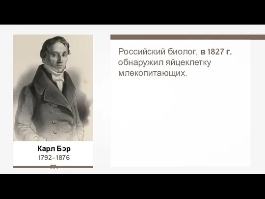 Карл Бэр 1792–1876 гг. Российский биолог, в 1827 г. обнаружил яйцеклетку млекопитающих.