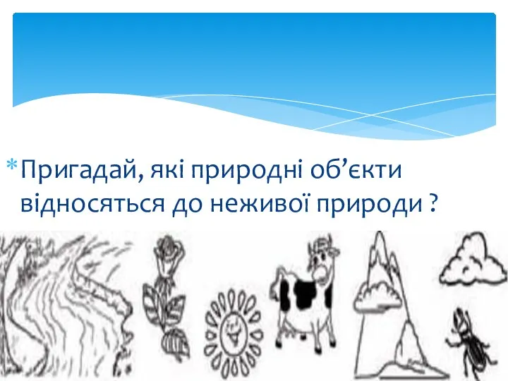 Пригадай, які природні об’єкти відносяться до неживої природи ?