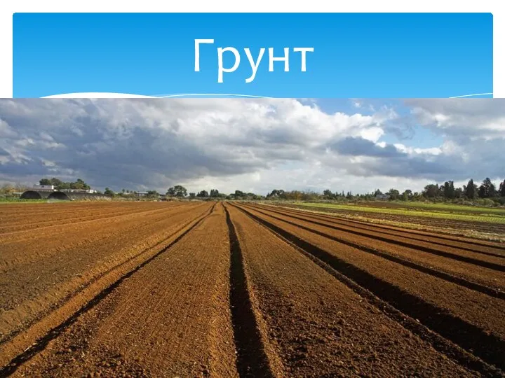 Грунт