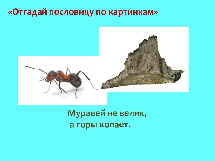 «Отгадай пословицу по картинкам» Муравей не велик, а горы копает.