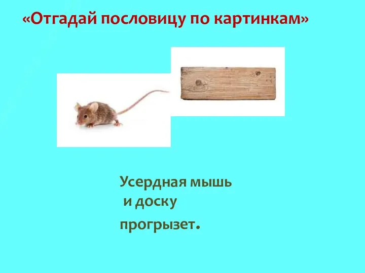 «Отгадай пословицу по картинкам» Усердная мышь и доску прогрызет.