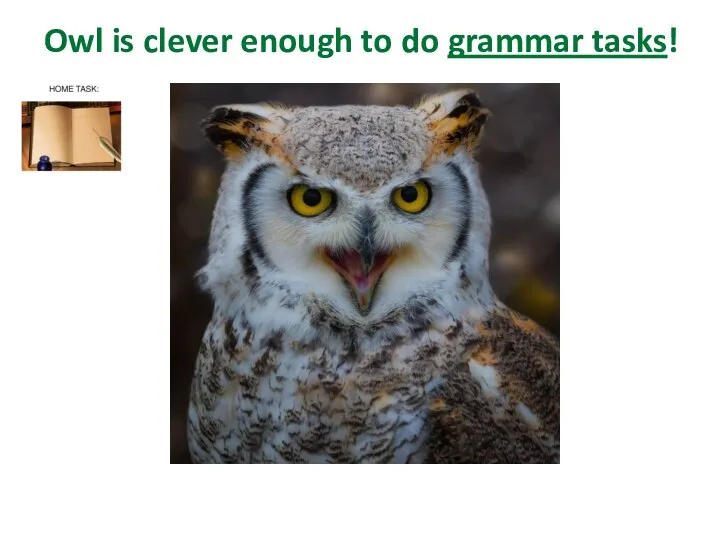 Owl is clever enough to do grammar tasks!