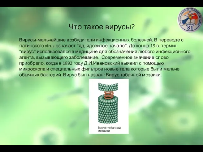 Что такое вирусы? Вирусы-мельчайшие возбудители инфекционных болезней. В переводе с латинского virus