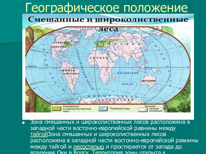 Географическое положение Зона смешанных и широколиственных лесов расположена в западной части восточно-европейской