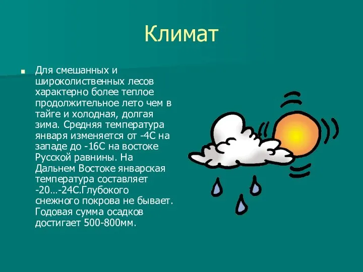 Климат Для смешанных и широколиственных лесов характерно более теплое продолжительное лето чем