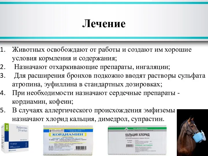 Лечение Животных освобождают от работы и создают им хорошие условия кормления и