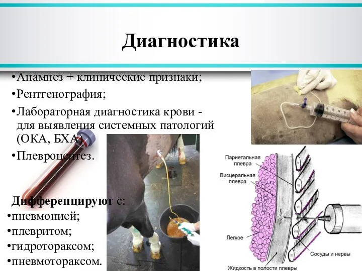 Анамнез + клинические признаки; Рентгенография; Лабораторная диагностика крови - для выявления системных