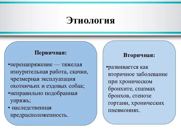 Этиология Первичная: перенапряжение — тяжелая изнурительная работа, скачки, чрезмерная эксплуатация охотничьих и