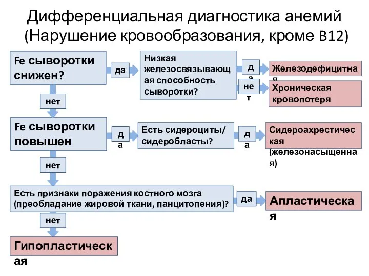 Гипопластическая нет Дифференциальная диагностика анемий (Нарушение кровообразования, кроме B12) Fe сыворотки снижен?