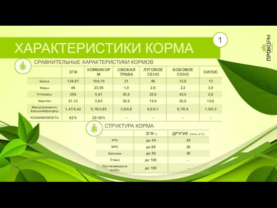 СТРУКТУРА КОРМА СРАВНИТЕЛЬНЫЕ ХАРАКТЕРИСТИКИ КОРМОВ ХАРАКТЕРИСТИКИ КОРМА