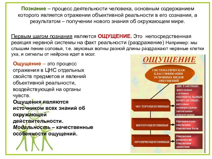 Познание – процесс деятельности человека, основным содержанием которого является отражении объективной реальности