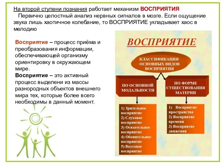 На второй ступени познания работает механизм ВОСПРИЯТИЯ Первично целостный анализ нервных сигналов