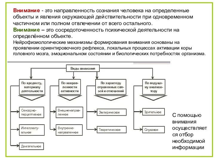 Внимание - это направленность сознания человека на определенные объекты и явления окружающей