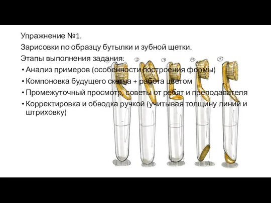 Упражнение №1. Зарисовки по образцу бутылки и зубной щетки. Этапы выполнения задания: