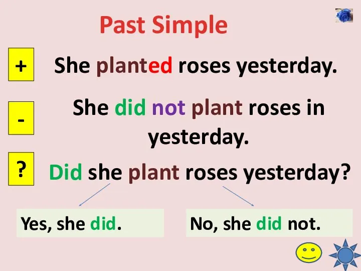 Past Simple She planted roses yesterday. + - ? She did not
