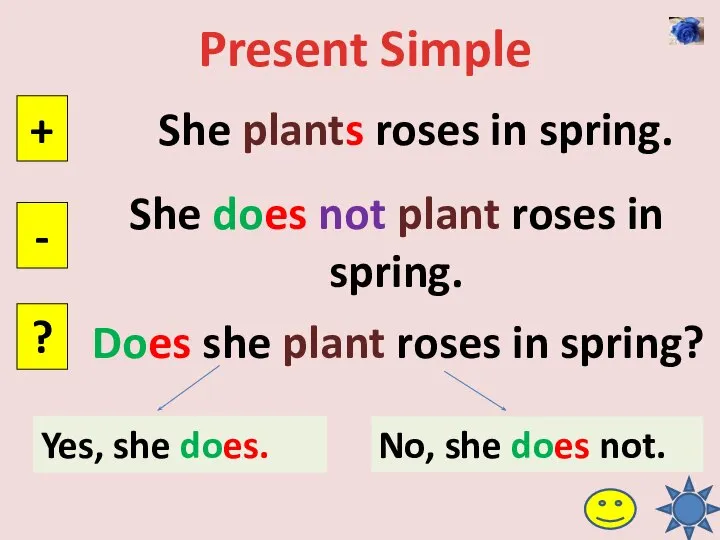 Present Simple She plants roses in spring. + - ? She does
