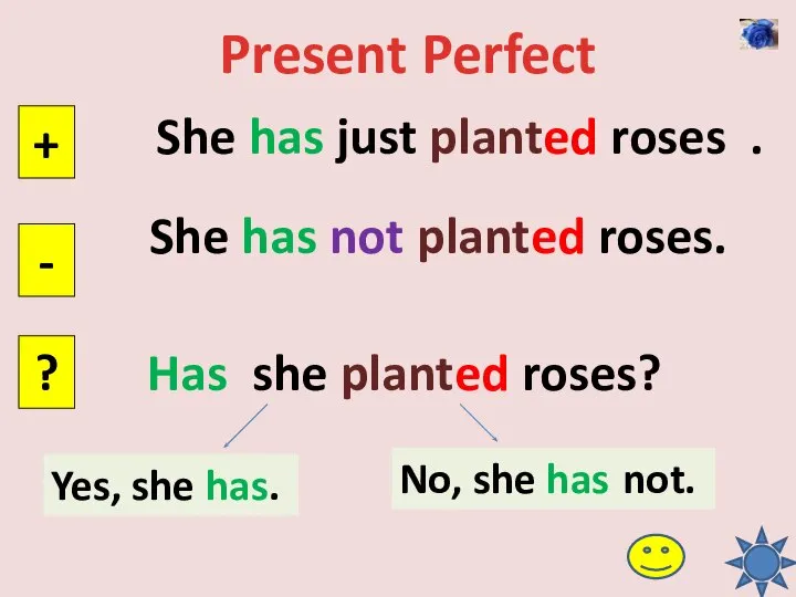 Present Perfect She has just planted roses . + - ? She