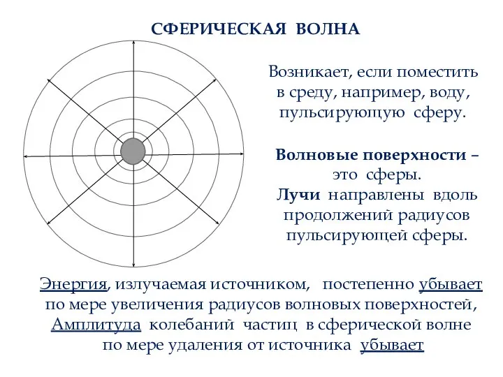 СФЕРИЧЕСКАЯ ВОЛНА Возникает, если поместить в среду, например, воду, пульсирующую сферу. Волновые