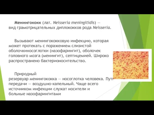 Менингококк (лат. Neisseria meningitidis) — вид грамотрицательных диплококков рода Neisseria. Вызывают менингококковую