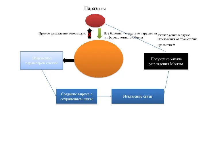 Паразиты x Прямое управление невозможно Все болезни – следствие нарушения информационного обмена