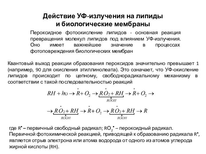 Действие УФ-излучения на липиды и биологические мембраны Пероксидное фотоокисление липидов - основная